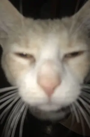 f6b174f3-eb6b-4780-b89f-bcce55f5cb03