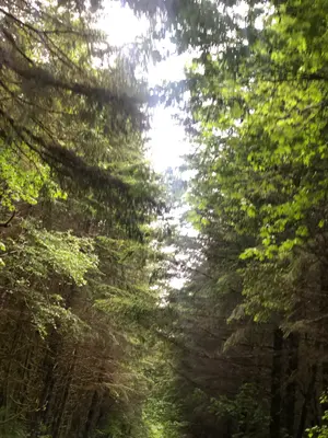 b5beed2a-12ed-4c0e-afe2-84afdd520312