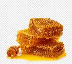 bbc8c853-43dc-4d08-9d6a-3a8cf88efc5f