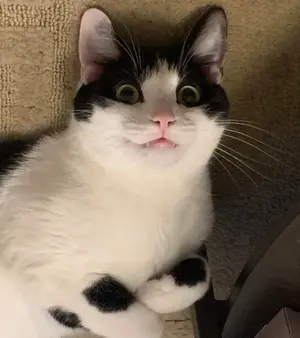 7f4b9781-a817-429f-8057-1fb0e06ed14a