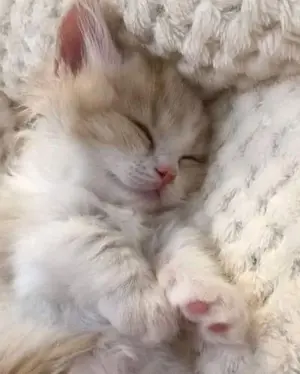 3b573545-d2e1-4606-ad43-61b756f21ae8