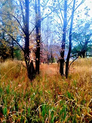 277f4f04-a631-4456-b43a-b8944db441e1