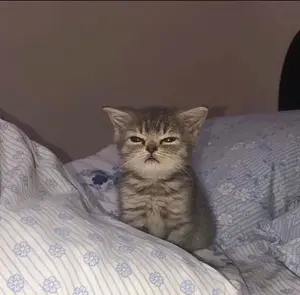 1718508e-e5b1-4ed3-89a2-30a3c0143dae