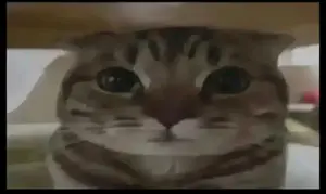 60ac4858-3f0f-4847-a2c1-9363355c5c7c