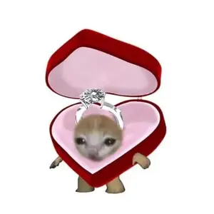 802aca7c-ca90-4e5a-8bec-90df351ba3f0