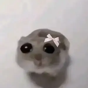 205c5733-2726-4ff8-b2fd-099a9c56f0c2