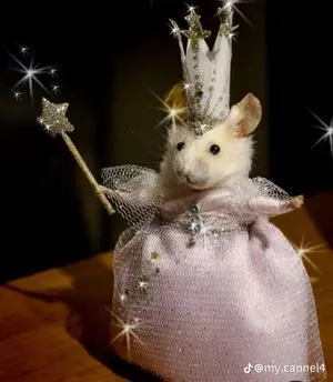 6ab8f076-ac0b-4965-bde3-bd6488ac1ea0