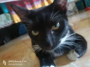 a62294ae-e0a2-4b06-a27c-f592e2fc4263