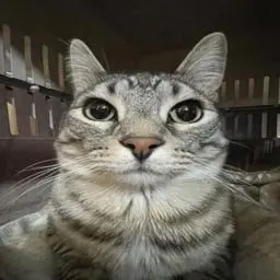 ce9cde25-39ba-4690-b6c2-d82a3c79a104