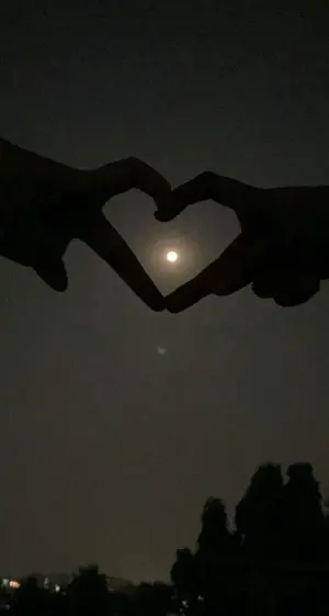 e45b038e-45fd-4877-96ad-3feb8c962c86