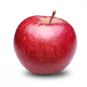 f161bdd9-b00a-4cc4-9cf9-52248b29da8a