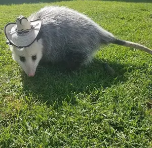 3a505c33-ee1e-4403-9b9f-16c51f50cc7b