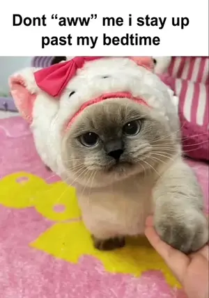 6099f36b-2e99-44c5-ab8f-faf39941aa64