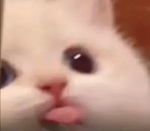 ac528c1f-3d21-464b-b60f-a925d37aa92c