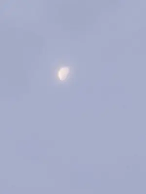 842a142c-0c51-49ac-aa98-030ff46e6ffa
