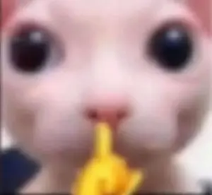 542c2b64-f74e-49b3-b7cd-7cde25d45e02