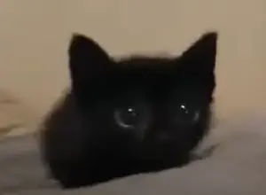 4efaf8d2-e6e0-4462-997e-beb0f3ffc90c