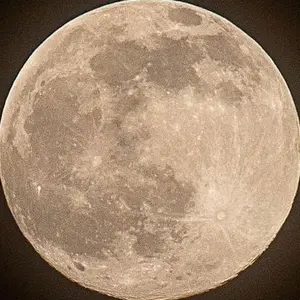7473fa99-fd2d-4bb8-8f3d-3f9f4079a166