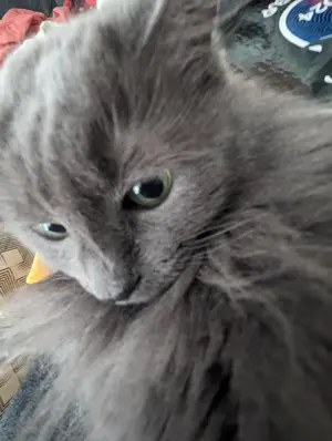 fc92e248-9cb7-4d6b-9c7b-3df0f879a21f