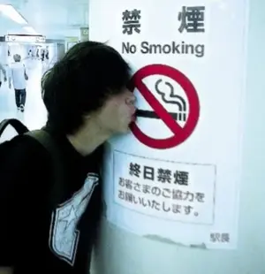 7008e91f-02e8-4ff2-a542-ae952332a9b2