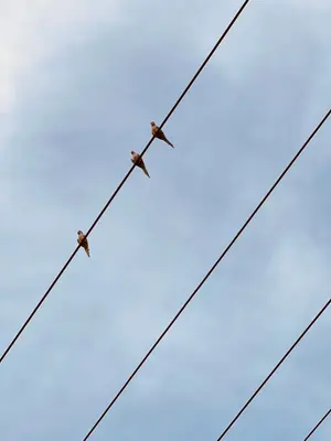 42441710-bb7e-49cb-8dc1-569f4f8f95c5