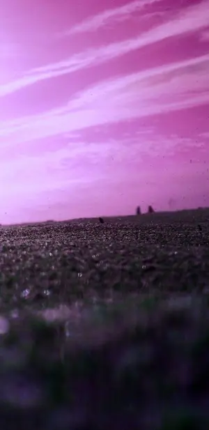 ccc2f73b-e3f9-498d-9b88-efbaf455b448