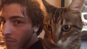 58b4cf78-3ad4-4206-96ba-6d6d4f932d38