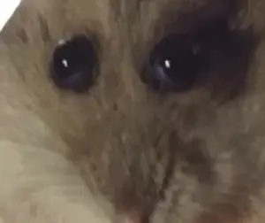 b580b83d-65a7-4200-afc7-bdd2f1bb7f34