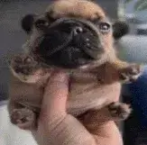 e9dcb8ed-f8ca-40c2-b7ea-c5e7dc3e877a