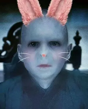 7f19878f-e92c-405d-96c6-4dcae624d81f