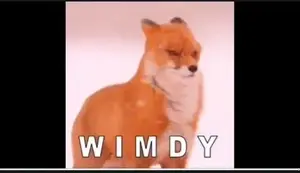 cb271dbc-d8ad-4348-9920-d8631c9b6ff6