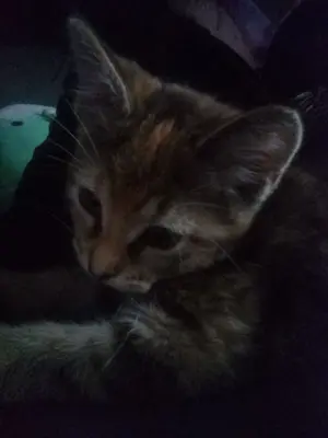 7b3c9482-ae04-4696-8726-4e677efaaf1d