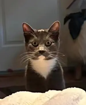 a169ca5c-9bda-443f-800a-559109f030ce