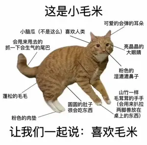cde4940b-5f59-4062-a72f-856c895195ac