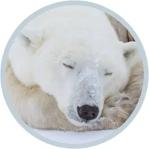 2b83d9c5-4e2a-4f4d-82a4-ef8235f7b897