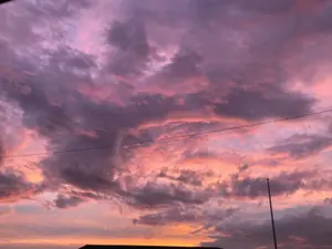 3c7eeef1-d09b-4446-bd90-c257ed84c442