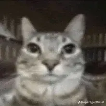 3447488a-c5a9-415a-ad43-2b6c5cd6415f