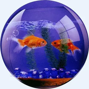 2e5c8737-4ad7-4d9a-900a-bd8967aee60a