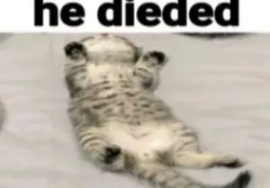 9c455a39-da1b-47df-8910-b8e4b3d27b27