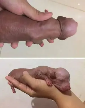 b8020055-f8f2-410b-8927-df274a941179