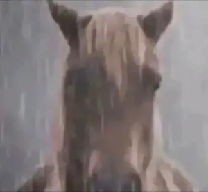 baa7f235-ee38-4b6b-8d8e-a360c8bc247f