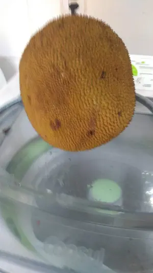 0d0d05bd-bdef-4401-a041-3f31db61b5b0