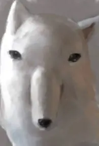 82c9a0cd-d022-45f5-a85d-38fbe0dc09aa