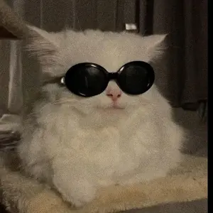 5e934213-e551-4709-bbb7-2f3d8b9adcfb