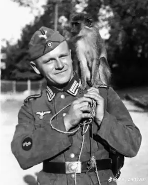 515714f1-6521-4761-b185-391329c24faf