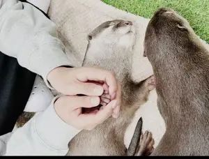 518ec6c9-c7b6-4161-83eb-ba7cc0bbb8d8