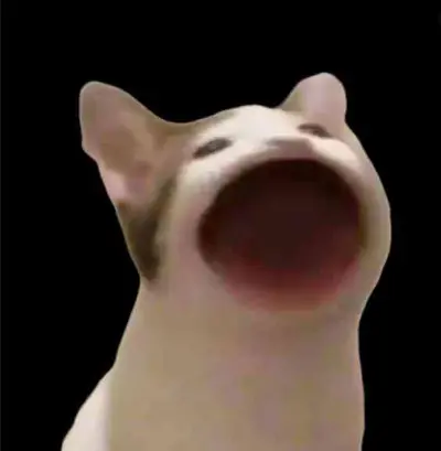 Sam
