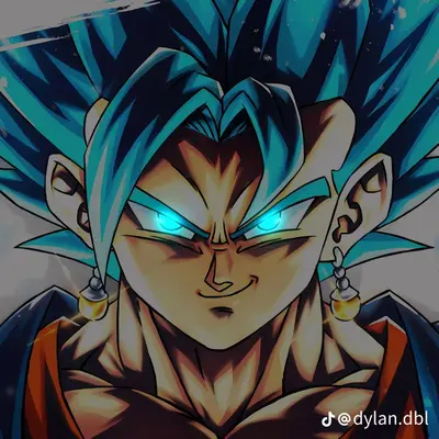 Vegetto 