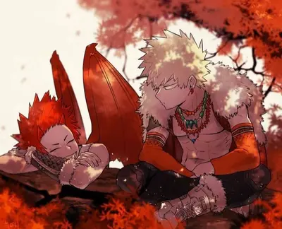 Kastuki Bakugou and Eijiro Kirishima 