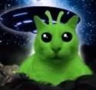 Gato alien